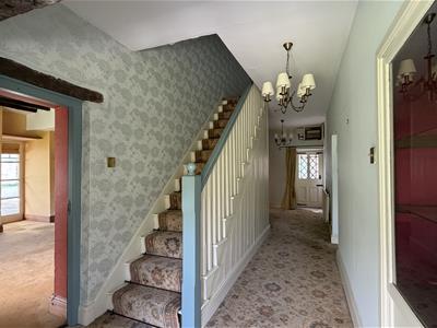 Picture 8